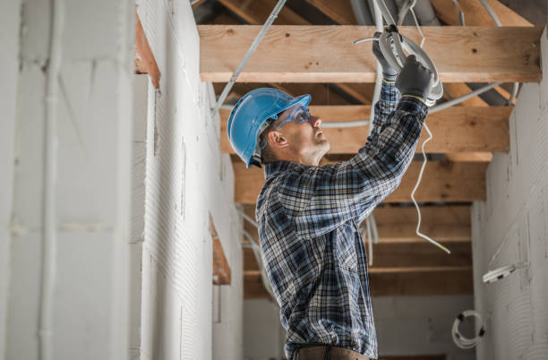 Best Ceiling Fan Installation Electrician  in Juneau, AK